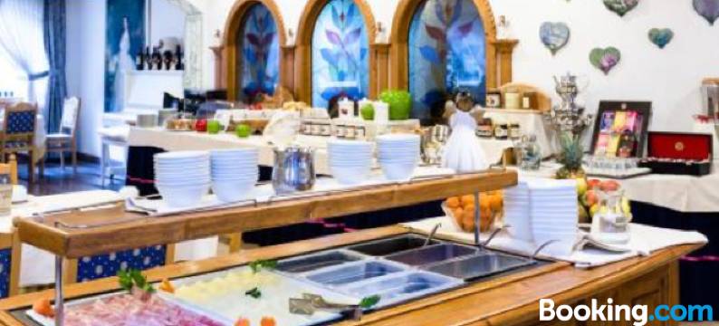 维也纳酒店(Hotel Vienna)图片