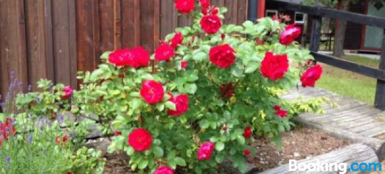 维斯堡/拉夫哈根旅舍(STF Hostel Visby/Rävhagen)图片