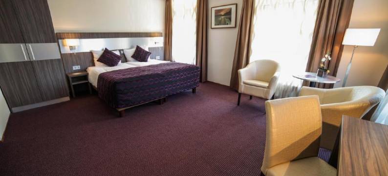 法贝尔酒店(Hotel Faber)图片