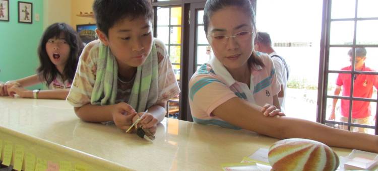 记得海景花园民宿图片