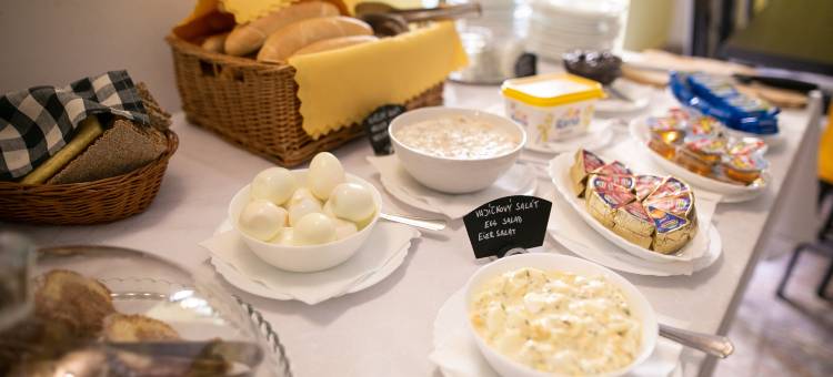 摩拉瓦酒店(Hotel Morava)图片