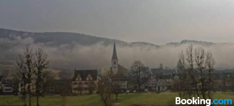Apartment Mosel-Götterlay图片