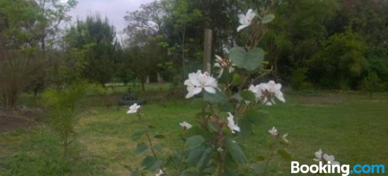 卡巴·帕莱索(Cabañas El Paraiso)图片