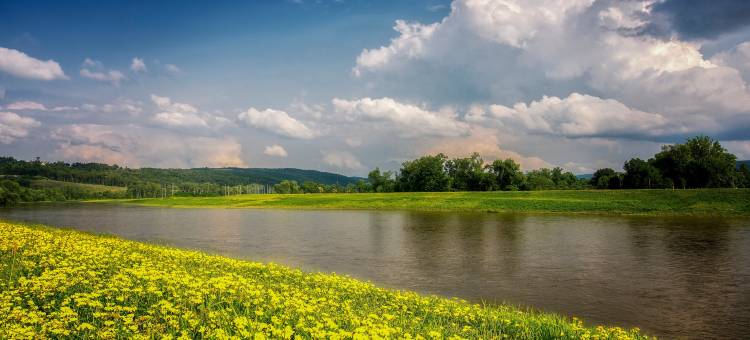 艾尔迈拉霍斯黑兹凯隆酒店(Clarion Inn Elmira-Horseheads)图片