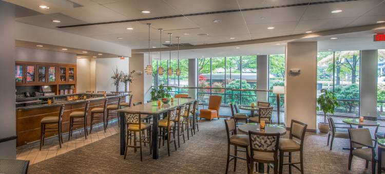 Holiday Inn 阿灵顿的AT巴尔斯顿(Holiday Inn Arlington at Ballston)图片