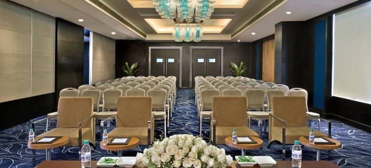 新德里 IP 扩展区丽柏酒店(Park Inn by Radisson New Delhi IP Extension)图片