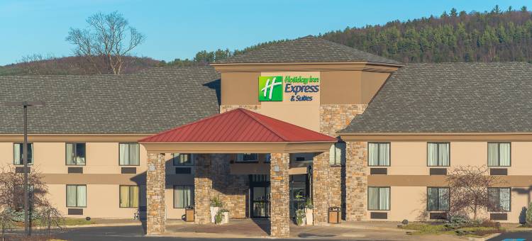 智选假日套房酒店古柏(Holiday Inn Express & Suites Cooperstown)图片