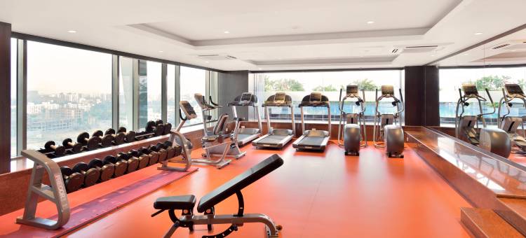 浦那辛吉瓦蒂丽笙酒店(Radisson Blu Pune Hinjawadi)图片