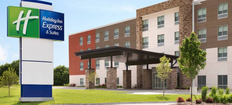 艾伦帕克智选假日套房酒店(Holiday Inn Express & Suites ALLEN PARK by IHG)图片