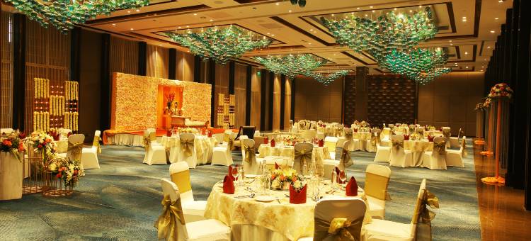 新德里玛玉尔豪尔诺伊达皇冠假日酒店(Crowne Plaza New Delhi Mayur Vihar Noida)图片