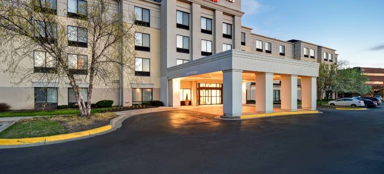 巴尔的摩华盛顿国际机场 SpringHill Suites 酒店(SpringHill Suites Baltimore BWI Airport)图片