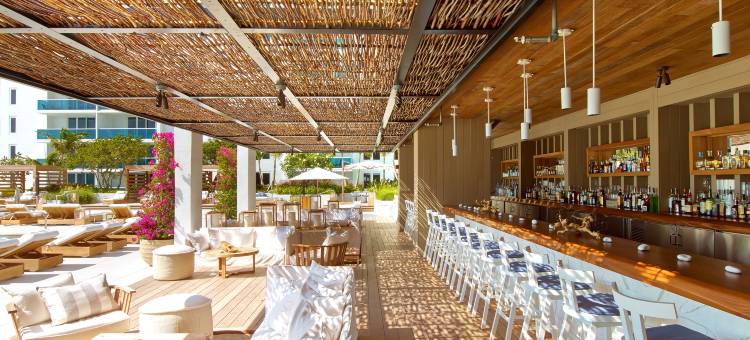 南海滩壹酒店(1 Hotel South Beach)图片