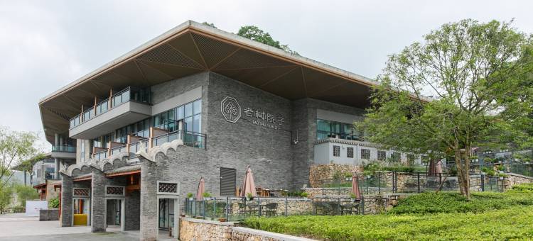 安境.老树院子(峨眉山风景区店)图片