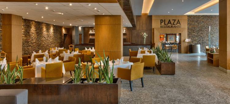 格拉瑞亚瑞福玛广场酒店(Galeria Plaza Reforma)图片