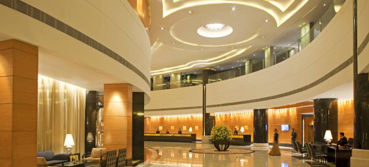 德里机场丽笙世嘉酒店(Radisson Blu Plaza Delhi)图片