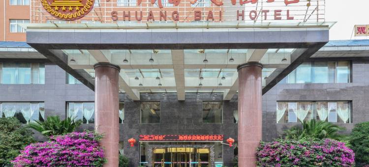 双柏大酒店图片
