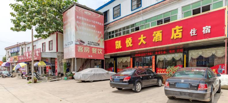 桐城凯悦大酒店图片