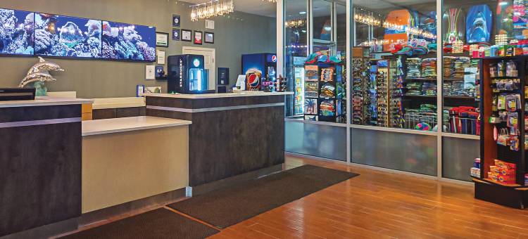 南帕诸岛海滩拉昆塔温德姆套房酒店(South Padre Island Beach)(La Quinta Inn & Suites South Padre Island)图片