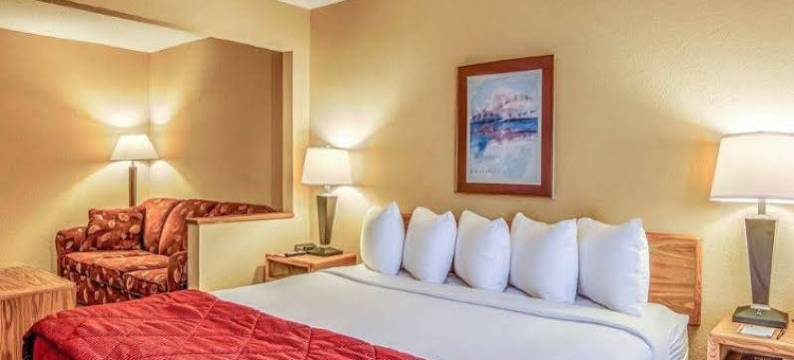 品质酒店及套房-威斯康星戴尔市中心-水上乐园区(Quality Inn & Suites Wisconsin Dells Downtown - Waterparks Area)图片