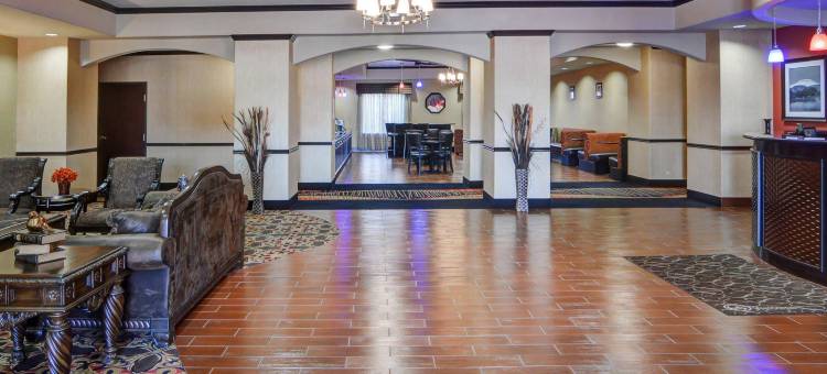 沃思湖舒适套房酒店(Comfort Suites Lake Worth)图片