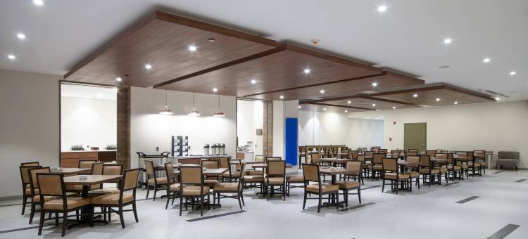 萨米尔广场智选假日酒店(Holiday Inn Express - Mexico Basilica)图片