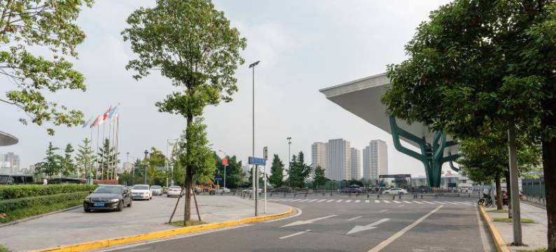 成都龙之梦瑞峰国际酒店图片