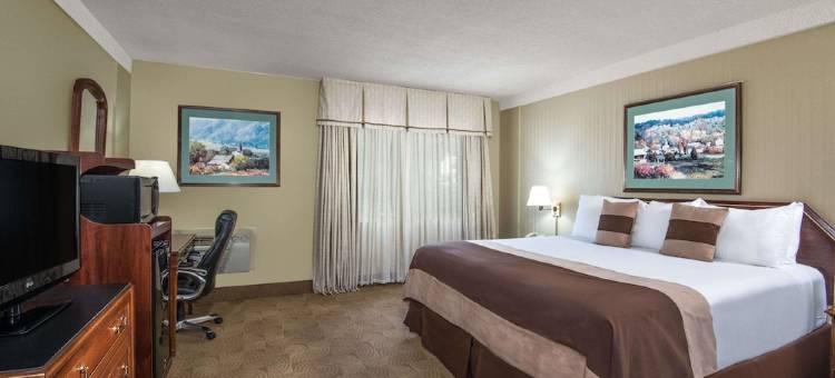 Ramada by Wyndham Denver Downtown图片