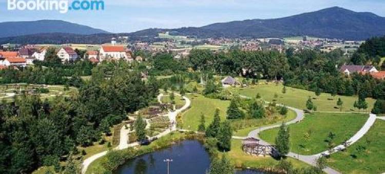 Haus Bergblick Bay. Wald图片