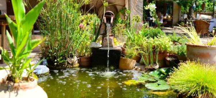 桑特布莱农村节日庄园乡村民宿(Agroturismo Finca Sant Blai)图片