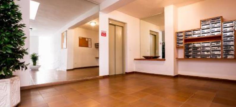 Apartmento Cactus II图片