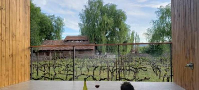 帕若内尔酒店(Hotel Parronales)图片