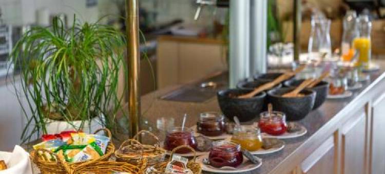 阿尔卑斯酒店(Hotel des Alpes)图片