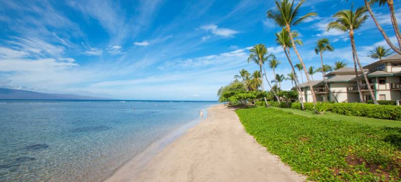 浦诺海滩艾斯塔特斯公寓式客房 - 凯悦悠选(Puunoa  - CoralTree Residence Collection)图片