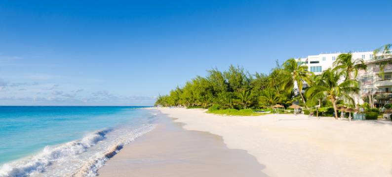 巴巴多斯三角梅酒店(Bougainvillea Barbados)图片