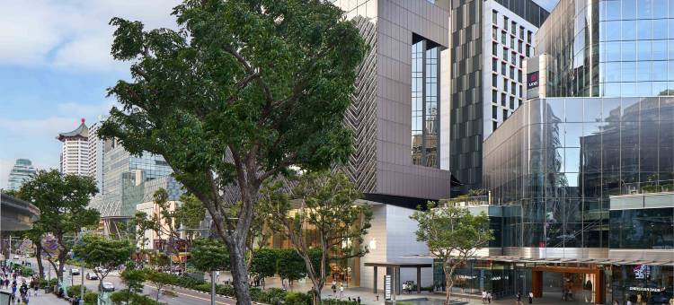 新加坡乌节路智选假日酒店(Holiday Inn Express Singapore Orchard Road)图片