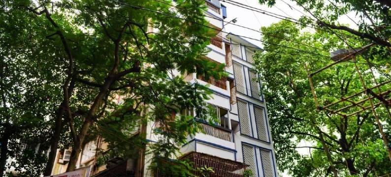 OYO 7186 Hotel South Inn图片