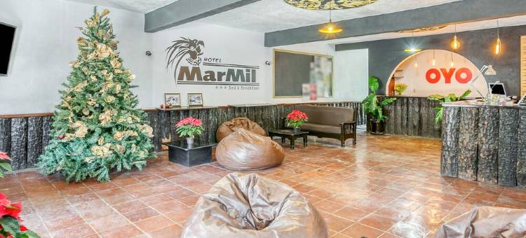 玛米尔酒店(Hotel Marmil)图片