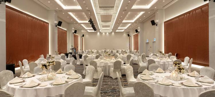 萨卡里亚丽笙蓝标酒店(Radisson Blu Hotel, Sakarya)图片