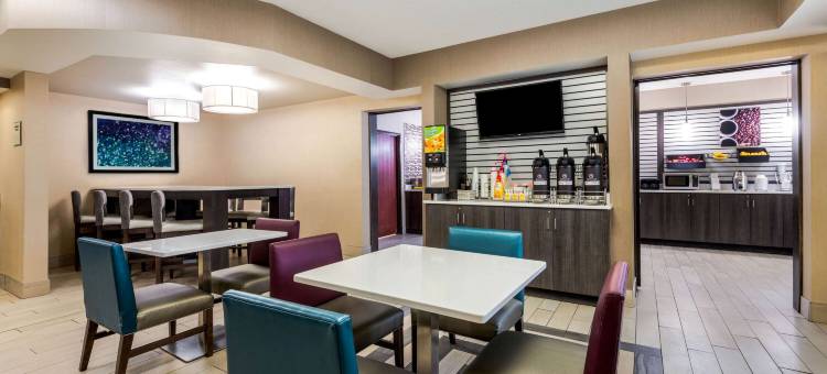 巴达维亚拉昆塔温德姆套房酒店(La Quinta Inn & Suites by Wyndham Batavia)图片