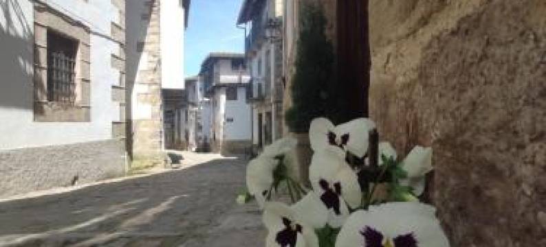 波萨达坎德拉里奥旅馆(Posada de Candelario)图片