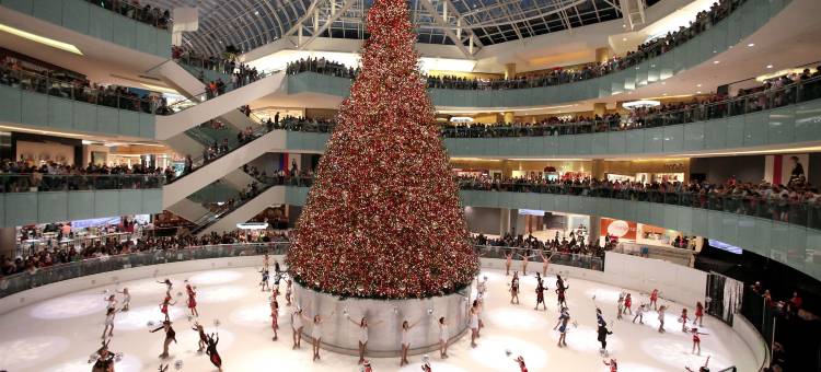 达拉斯商业街威斯汀酒店(The Westin Galleria Dallas)图片