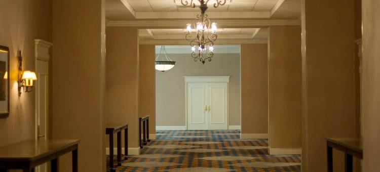 喜来登孟菲斯市中心酒店(Sheraton Memphis Downtown Hotel)图片