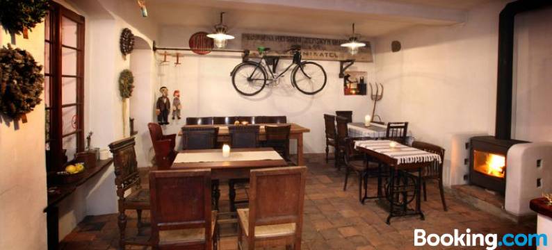 优拉斯古旅馆(Penzion U Lasiku)图片