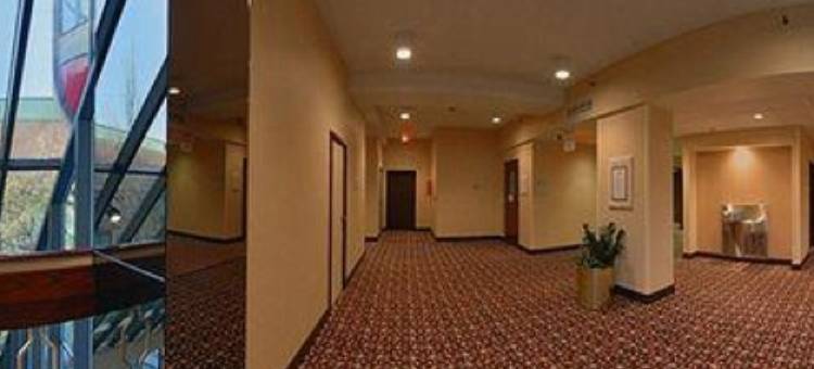 西雅图机场希尔顿逸林酒店(DoubleTree by Hilton Seattle Airport)图片
