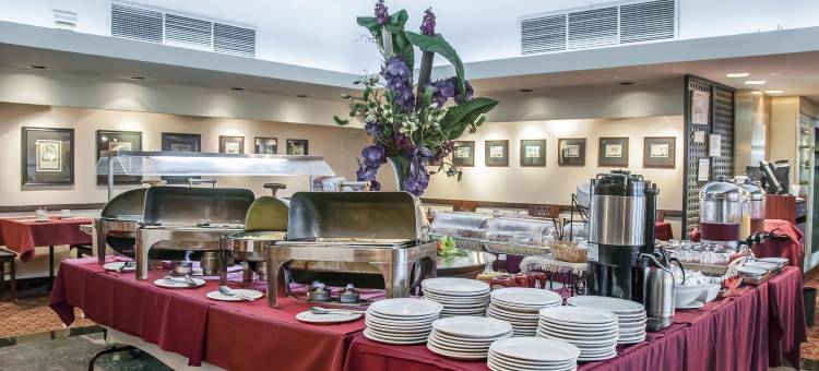 多瓦尔品质酒店(Quality Hotel Dorval Aeroport)图片