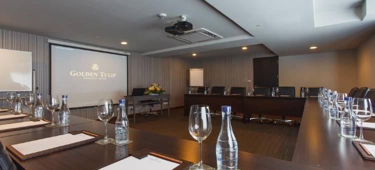 金色郁金香麦迪逊套房酒店(Golden Tulip Mandison Suites)图片