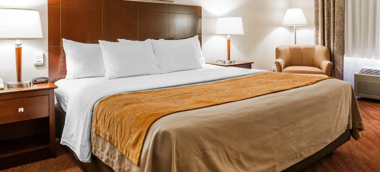 凯尔索舒适套房酒店-朗维尤(Comfort Inn & Suites Kelso - Longview)图片