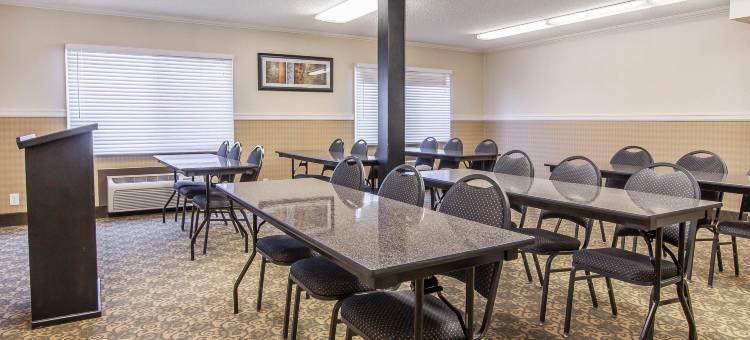 温馨酒店及套房温哥华市中心(Comfort Inn & Suites Vancouver Downtown City Center)图片