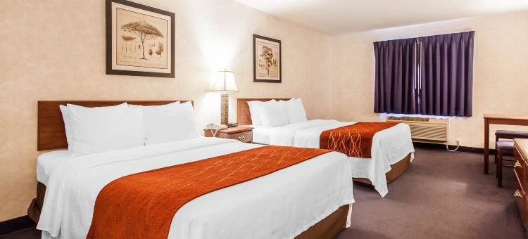 洲际酒店集团智选假日酒店及套房汤沃特 - 奥林匹亚(Holiday Inn Express & Suites TUMWATER - OLYMPIA)图片