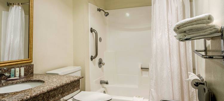 莫德斯托舒适酒店(Comfort Inn Modesto)图片